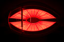 Red Light Therapy Bed with Near-Infrared, For Home and Professional Use, 21,600 LEDs