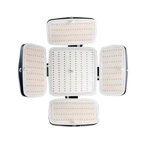 Technospa FolliLight - Hair Growth System