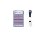 HealthyLine Platinum PEMF mat, 32 x 20 in., with both controllers on a white background
