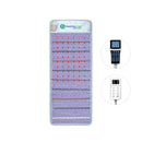 HealthyLine Platinum PEMF mat, 60 x 24 in., with both controllers on a white background