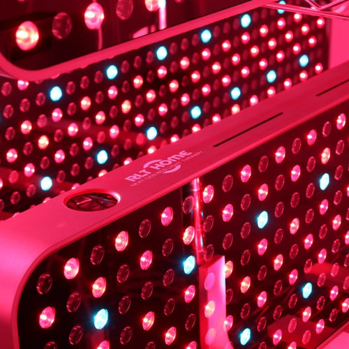 Red Light Therapy Panel with 360 LEDs, Total Spectrum Max by RLT Home
