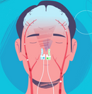 Vielight Intranasal Photobiomodulation for Systemic Wellness, Cognitive Performance, and Immunity