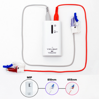 Vielight Intranasal Photobiomodulation for Systemic Wellness, Cognitive Performance, and Immunity
